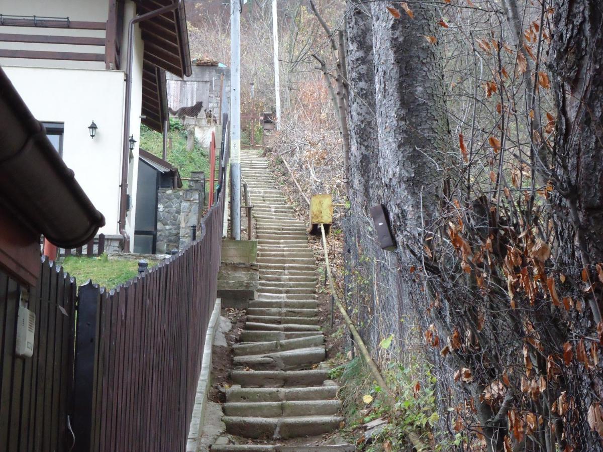 Casa Serban Villa Sinaia Exterior foto