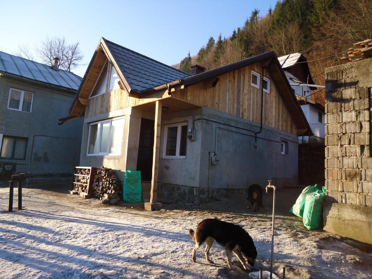 Casa Serban Villa Sinaia Exterior foto