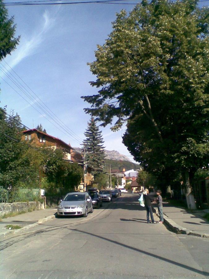 Casa Serban Villa Sinaia Exterior foto