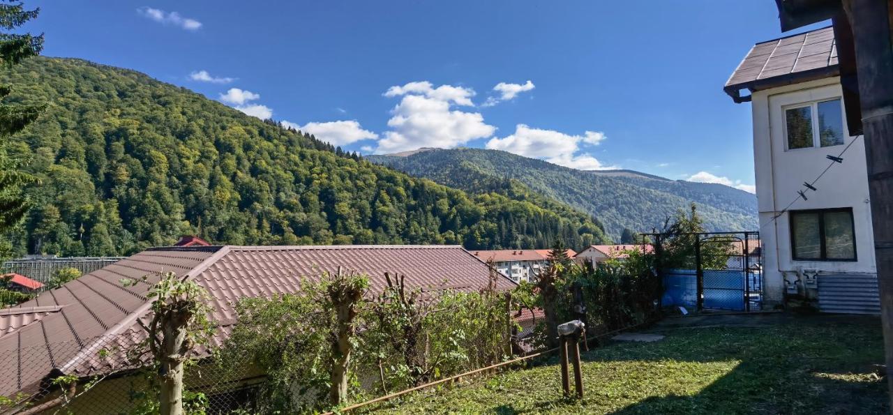 Casa Serban Villa Sinaia Exterior foto
