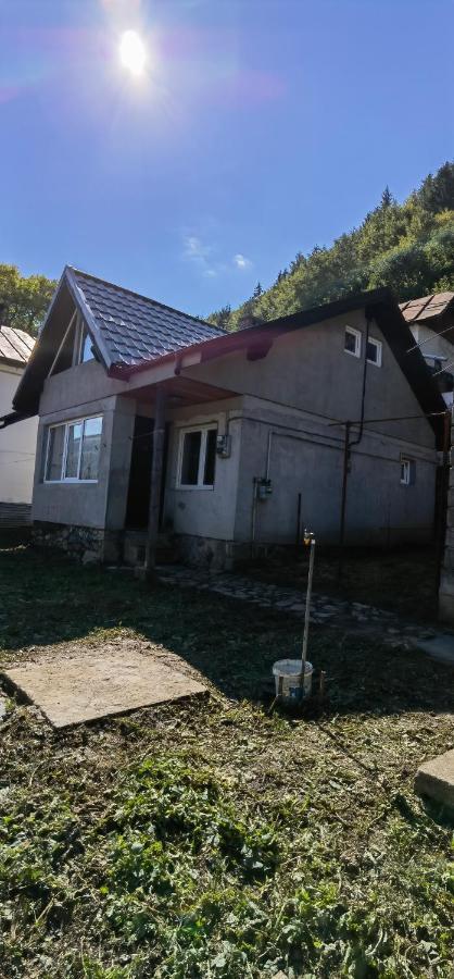 Casa Serban Villa Sinaia Exterior foto